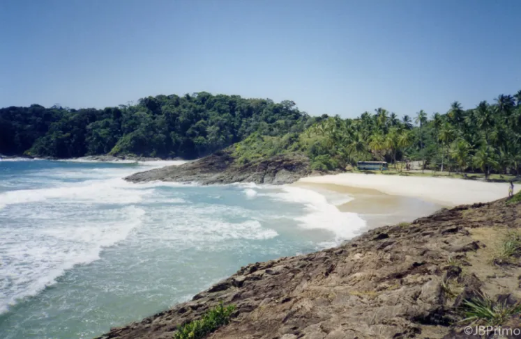 Trilha Praia da Ribeira: Caminho Fácil com Visual Costeiro